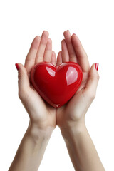 Fototapeta premium 3D two hands holding glossy heart icon alone on transparent background