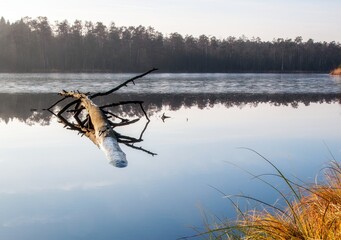 Leśne jezioro © Robert