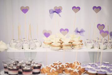 buffet table at the celebration of the wedding. Desserts with fruits, mousse, biscuits. A grouping of desserts from strawberry cheesecake to sweets. Festive culinary sweet masterpieces.