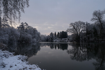 reflections in the water
