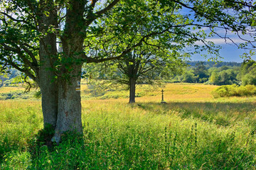 Beautiful summer landscape in the mountains with green meadows and forested hills, Nieznajowa, Low Beskids (Beskid Niski), Poland