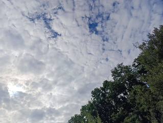 Landscapes -  Forest - Europe, Romania