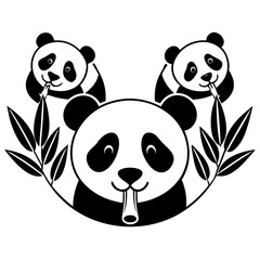 panda bear Vector