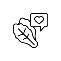 Lettuce outline icons, minimalist vector illustration ,simple transparent graphic element .Isolated on white background