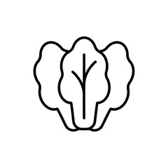 Lettuce outline icons, minimalist vector illustration ,simple transparent graphic element .Isolated on white background