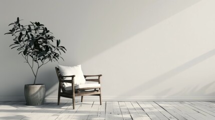 Minimalist interior with a single armchair and plant, bathed in soft sunlight, against a white wall.