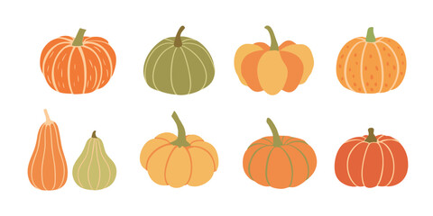 Pumpkin collection. Set of different pumpkins. Vector illustration