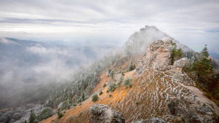 landscape in the morning