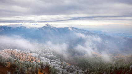 landscape in the morning