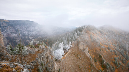 landscape in the fog