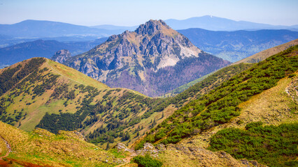 landscape in the summer