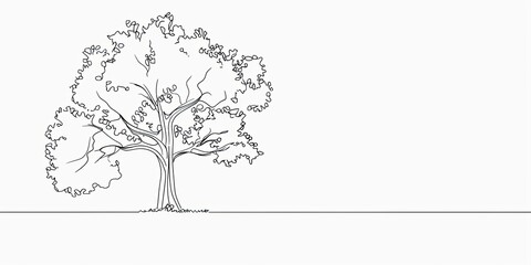 Simple Black and White Tree Sketch