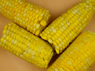 Sweet yellow hot and fresh boiled corn cobs on an orange plate, background