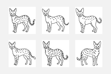 Fototapeta premium Exciting Serval Line Art for Young Artists 