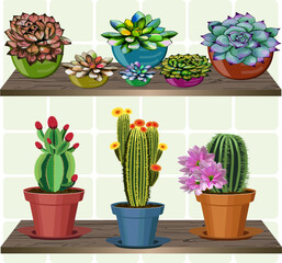 Cacti and succulents in a set.Vector set of succulents and blooming cacti in pots on wooden shelves.