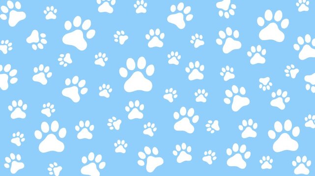 Animated Cat and dog  seamless Paw Pattern Background 4K video. White paws on Blue background.