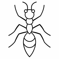 Ant Vector