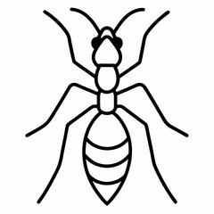 Ant Vector