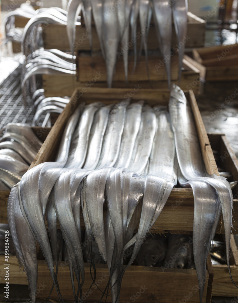 Sticker Close-up of stacked raw cutlassfish on wood box for sale at a fish market, South Korea
