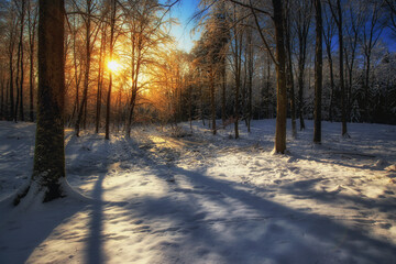 Zimowy poranek © Robert