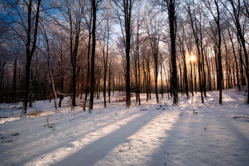 Zimowy poranek © Robert