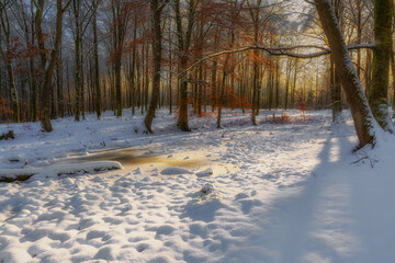 Zimowy poranek © Robert