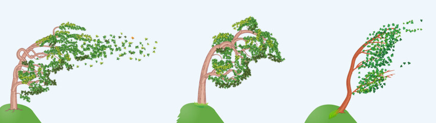 Obraz premium Set of three trees standing in the wind on a high place. Vector illustration isolated on white background.