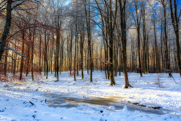 Zimowy poranek © Robert