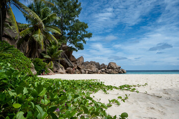 Traumstrand 