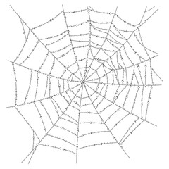 Linear drawing of spider web with dew droplets isolated on white. Vector illustration