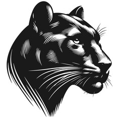Clean Black and white vector silhouette of a Panther on white background