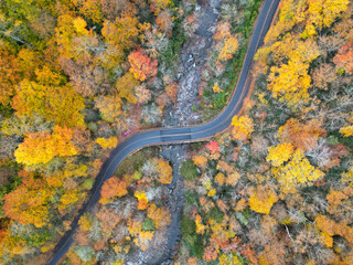 Aerial Drone View of Mountain Road outside of Asheville, North Carolina. Fall / Autumn Foliage Colors in the Appalachian Mountains.