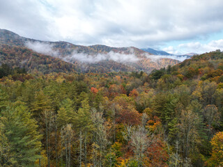 Misty Mountains outside of Asheville, North Carolina. Foggy weather in the Smokey Mountains. Autumn forests near Appalachian Trail. Fall leaf foliage in october