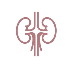 human kidney organ Icon flat design