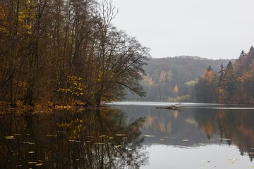 Fototapeta premium Jesień