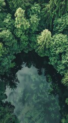 A peaceful forest surrounds still water, reflecting vibrant greenery above
