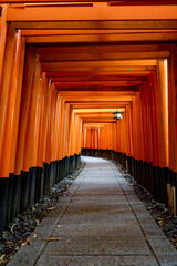 伏見稲荷の鳥居