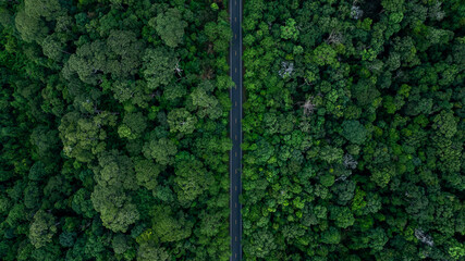 Aerial view asphalt forest road  passing through the green forest tree, Forest road in the middle...