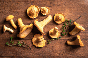 Chanterelle forest mushrooms