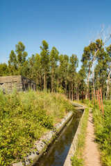 Fototapeta premium Levada Nova in Calheta Madeira