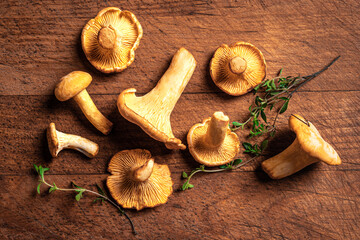 Chanterelle forest mushrooms