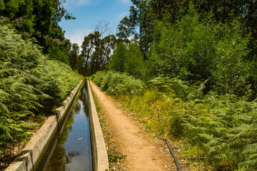 Levada Nova in Calheta Madeira