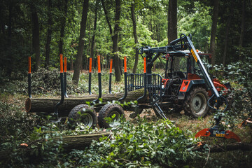 Forwarder tractor for wood transport. Tractor with trailer loaded with logs. Forestry tractor or forestry tractor for harvesting wood in the forest. Forest industry. Logging in summer forest.