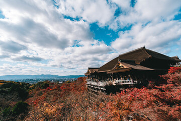 Naklejka premium 紅葉の清水寺