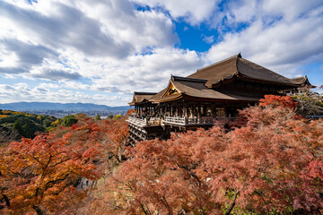 Fototapeta premium 紅葉の清水寺