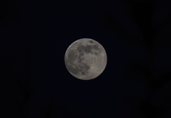 Obraz premium The full moon at night