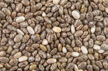 Numerous dried or dehydrated chia seeds spread evenly