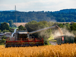 Mähdrescher bei der Arbeit auf einem Feld