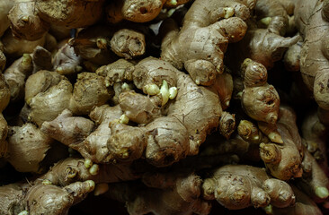 Fresh ginger, fresh vegetables from the market