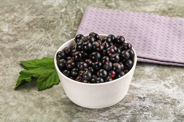 Ripe black currant in the bowl